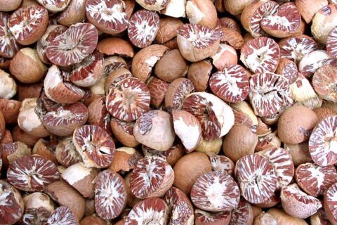 Betelnuts